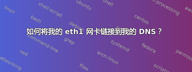 如何将我的 eth1 网卡链接到我的 DNS？