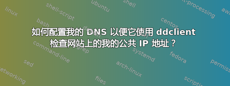 如何配置我的 DNS 以便它使用 ddclient 检查网站上的我的公共 IP 地址？