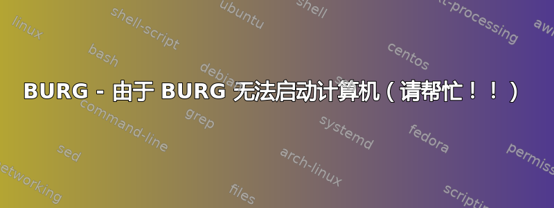 BURG - 由于 BURG 无法启动计算机（请帮忙！！）