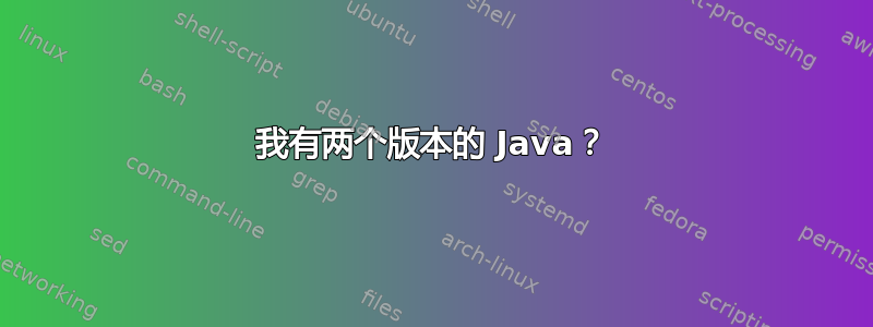 我有两个版本的 Java？