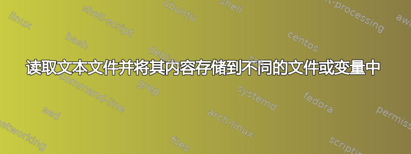 读取文本文件并将其内容存储到不同的文件或变量中