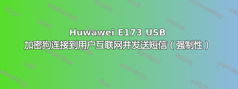 Huwawei E173 USB 加密狗连接到用户互联网并发送短信（强制性）