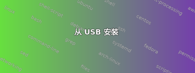 从 USB 安装