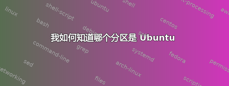 我如何知道哪个分区是 Ubuntu