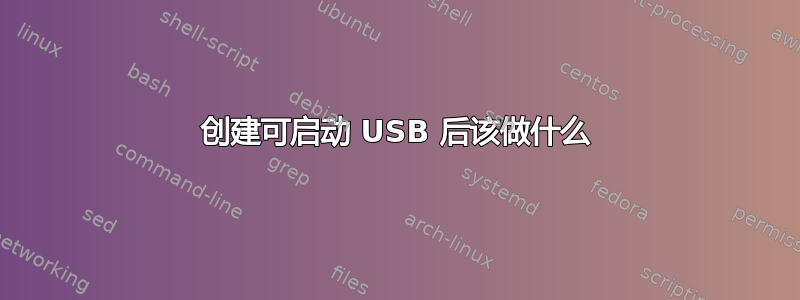 创建可启动 USB 后该做什么