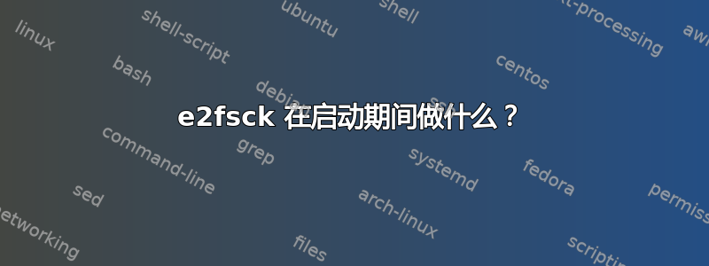 e2fsck 在启动期间做什么？