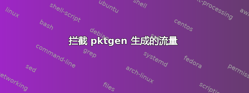 拦截 pktgen 生成的流量