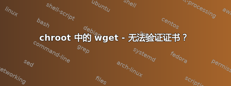 chroot 中的 wget - 无法验证证书？