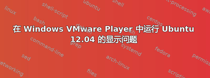 在 Windows VMware Player 中运行 Ubuntu 12.04 的显示问题