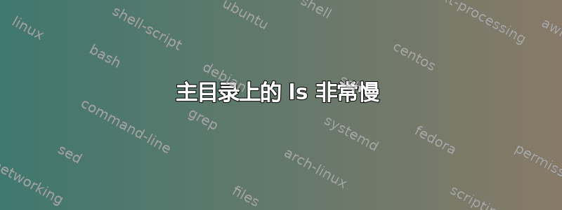 主目录上的 ls 非常慢