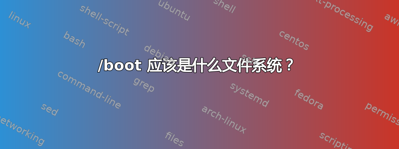 /boot 应该是什么文件系统？