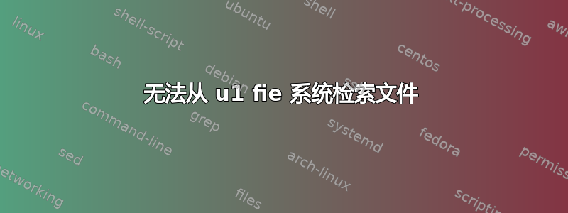 无法从 u1 fie 系统检索文件