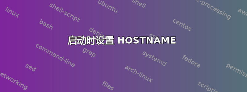 启动时设置 HOSTNAME