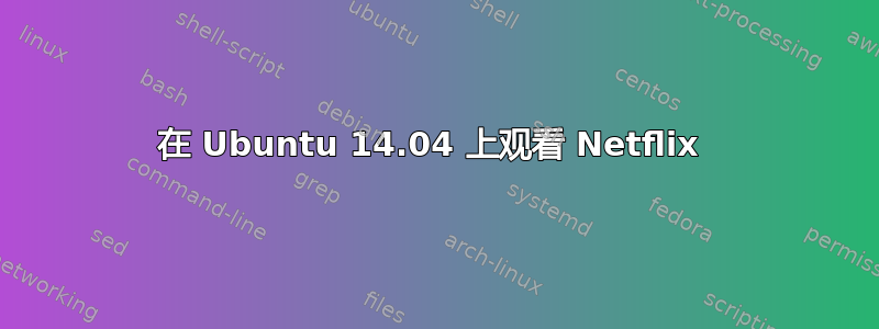 在 Ubuntu 14.04 上观看 Netflix 