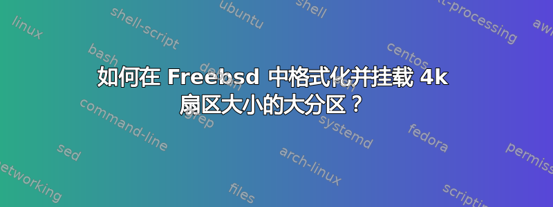 如何在 Freebsd 中格式化并挂载 4k 扇区大小的大分区？