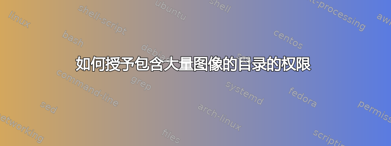 如何授予包含大量图像的目录的权限