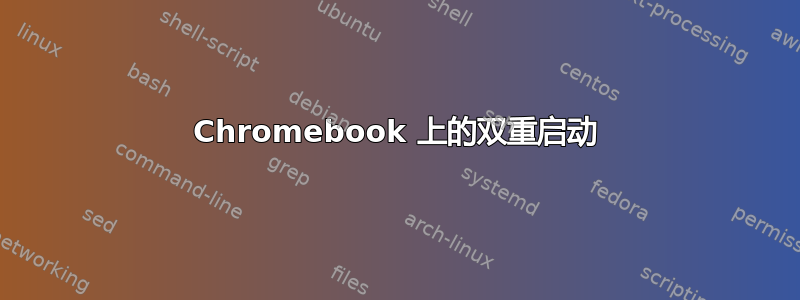 Chromebook 上的双重启动