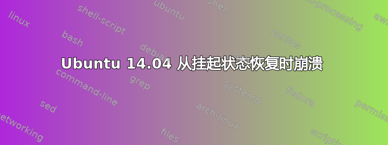 Ubuntu 14.04 从挂起状态恢复时崩溃