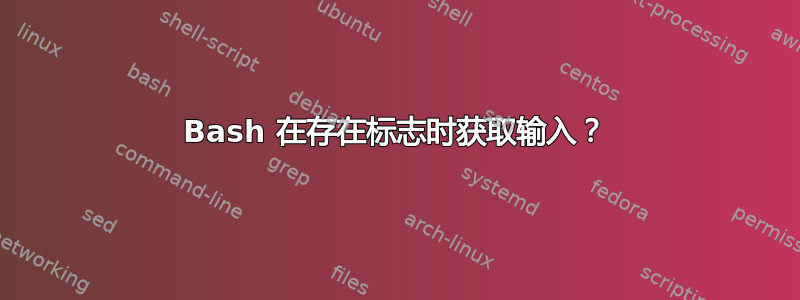 Bash 在存在标志时获取输入？