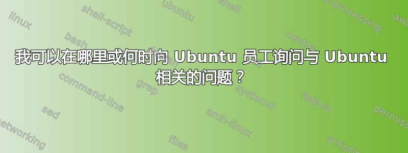 我可以在哪里或何时向 Ubuntu 员工询问与 Ubuntu 相关的问题？