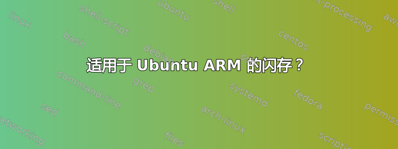 适用于 Ubuntu ARM 的闪存？