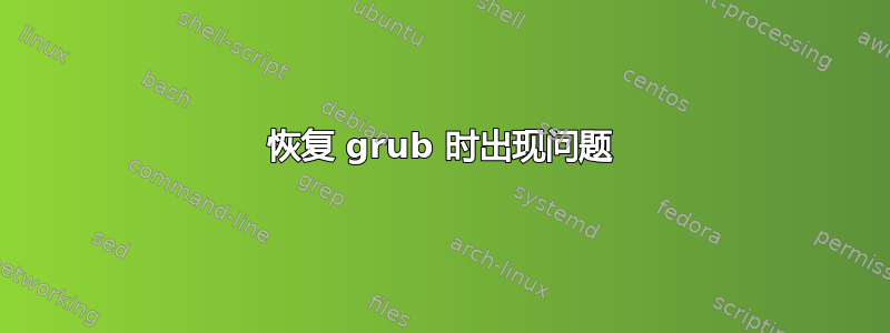 恢复 grub 时出现问题