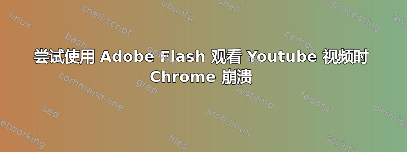 尝试使用 Adob​​e Flash 观看 Youtube 视频时 Chrome 崩溃