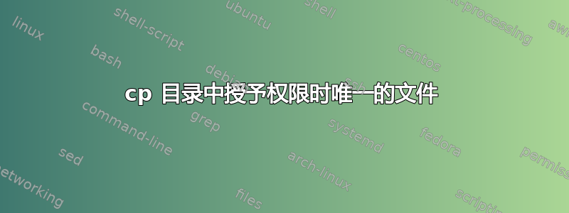 cp 目录中授予权限时唯一的文件