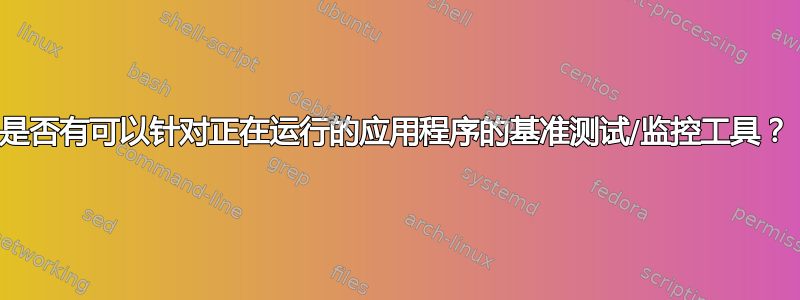 是否有可以针对正在运行的应用程序的基准测试/监控工具？