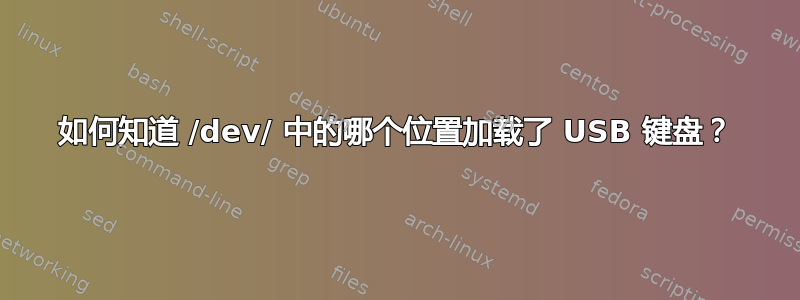 如何知道 /dev/ 中的哪个位置加载了 USB 键盘？