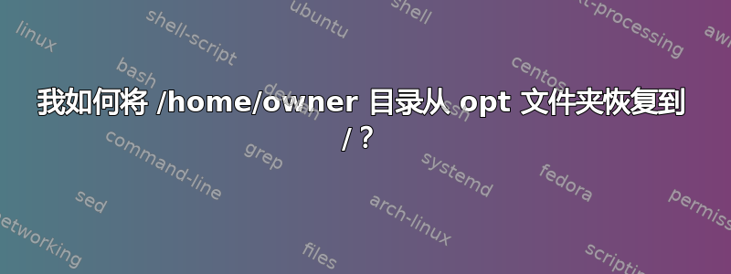 我如何将 /home/owner 目录从 opt 文件夹恢复到 /？