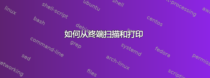 如何从终端扫描和打印