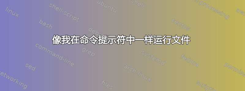 像我在命令提示符中一样运行文件