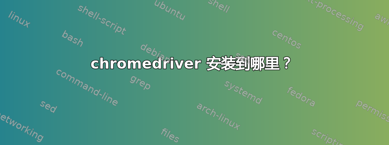 chromedriver 安装到哪里？