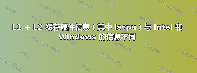 L1 + L2 缓存硬件信息（其中 lscpu）与 Intel 和 Windows 的信息不同