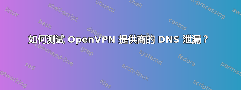 如何测试 OpenVPN 提供商的 DNS 泄漏？