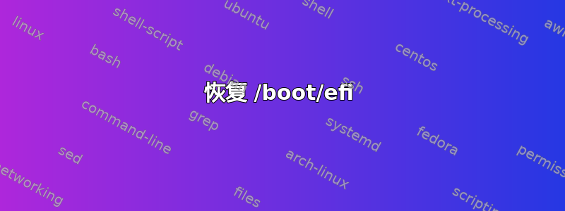 恢复 /boot/efi