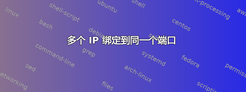 多个 IP 绑定到同一个端口