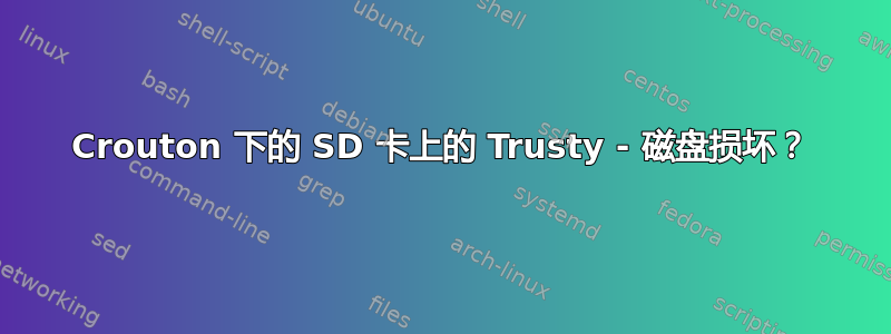 Crouton 下的 SD 卡上的 Trusty - 磁盘损坏？