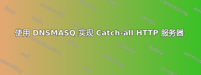 使用 DNSMASQ 实现 Catch-all HTTP 服务器