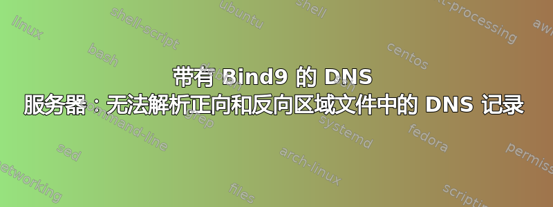 带有 Bind9 的 DNS 服务器：无法解析正向和反向区域文件中的 DNS 记录