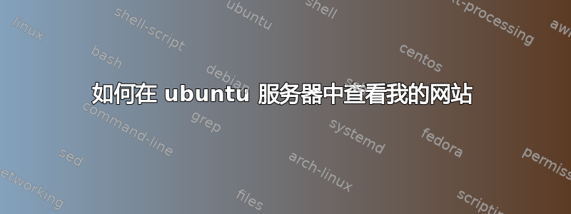 如何在 ubuntu 服务器中查看我的网站