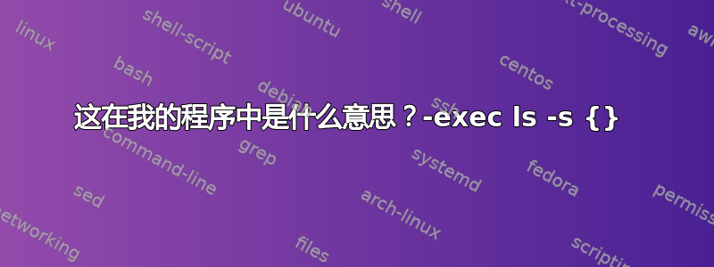 这在我的程序中是什么意思？-exec ls -s {} 