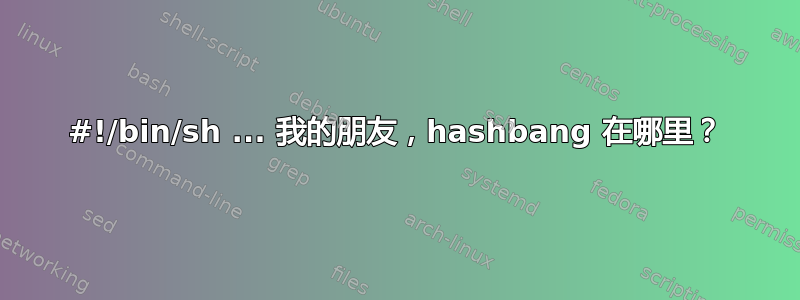 #!/bin/sh ... 我的朋友，hashbang 在哪里？