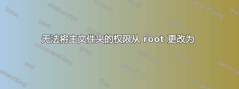 无法将主文件夹的权限从 root 更改为