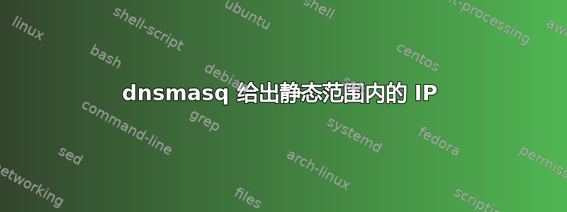 dnsmasq 给出静态范围内的 IP