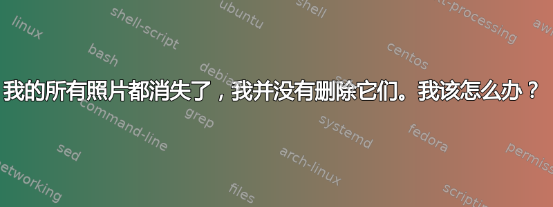 我的所有照片都消失了，我并没有删除它们。我该怎么办？