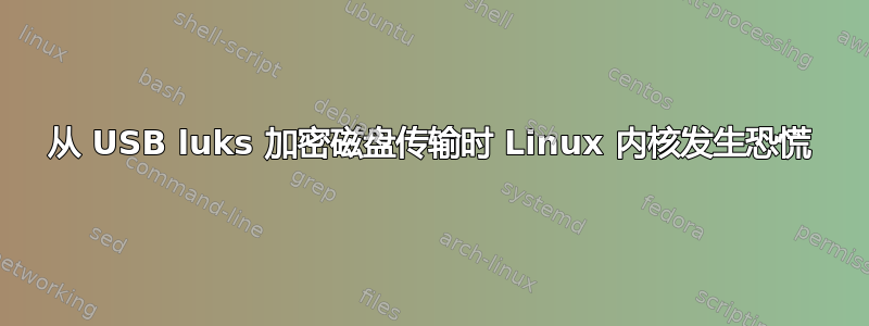 从 USB luks 加密磁盘传输时 Linux 内核发生恐慌