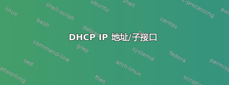 DHCP IP 地址/子接口