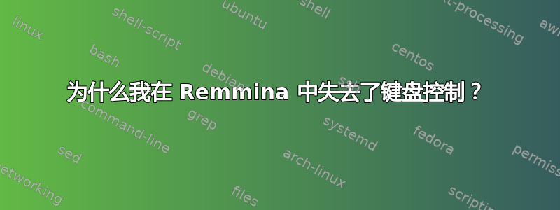 为什么我在 Remmina 中失去了键盘控制？